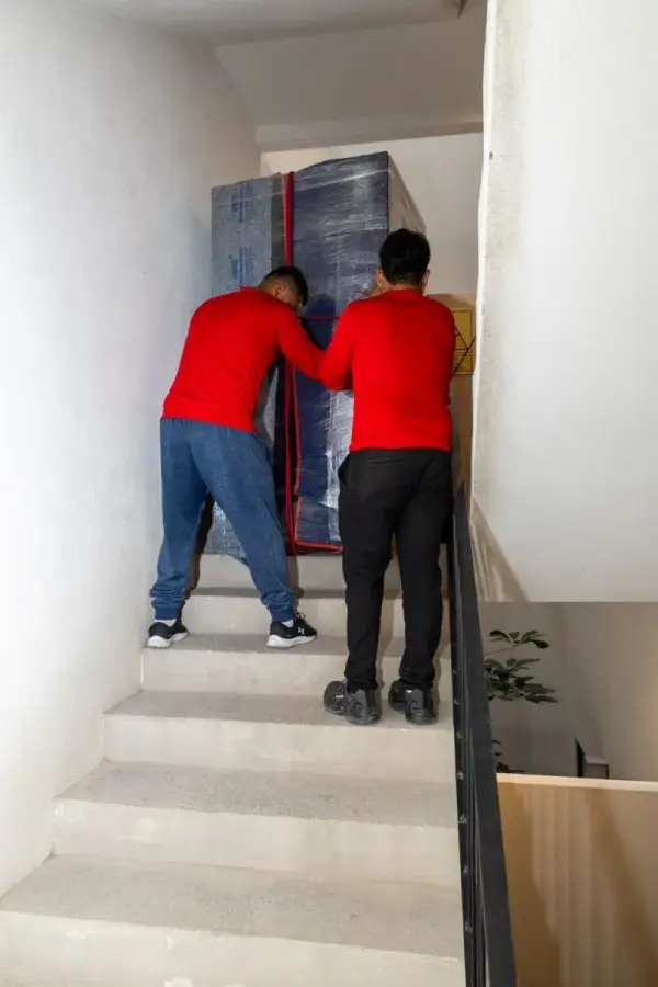 Cargadores HGR empacando pertenencias con material profesional